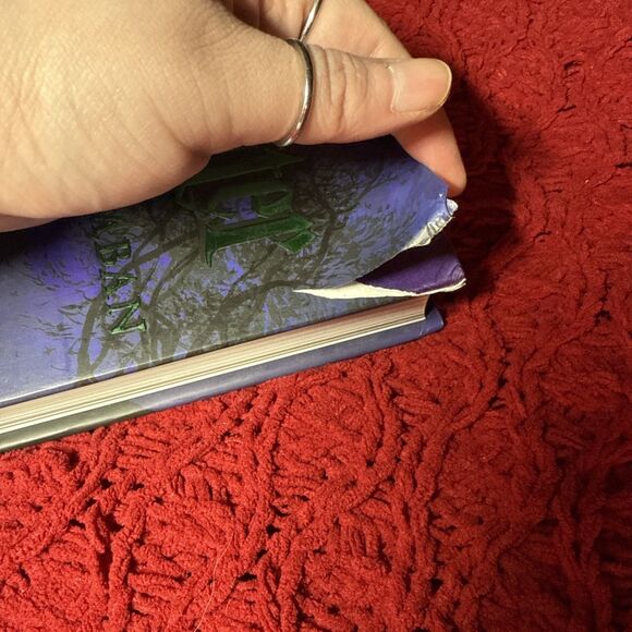 Harry Potter Illustrated Hardcovers Set 4 -Books 1-3 + Fantastic Beasts - Picture 10 of 15